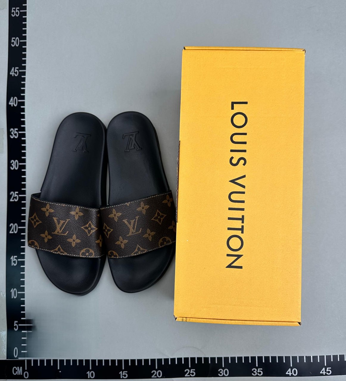 LV5 -3