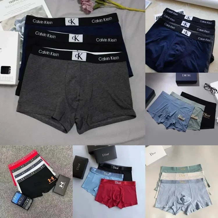  CK DIOR briefs