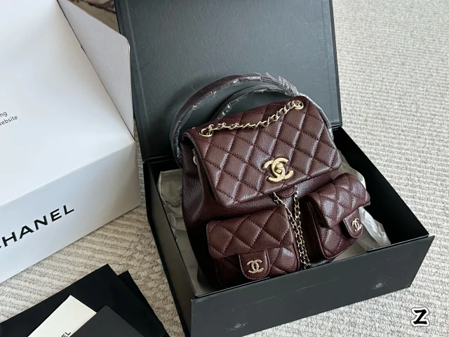 Chanel duma bag -3