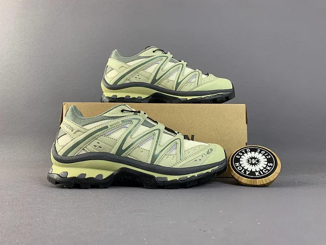 Salomon shoes