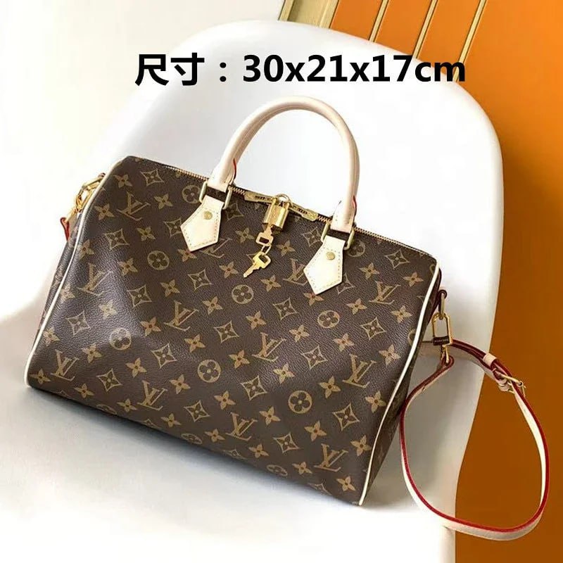 Louis Vuitton Bags -2