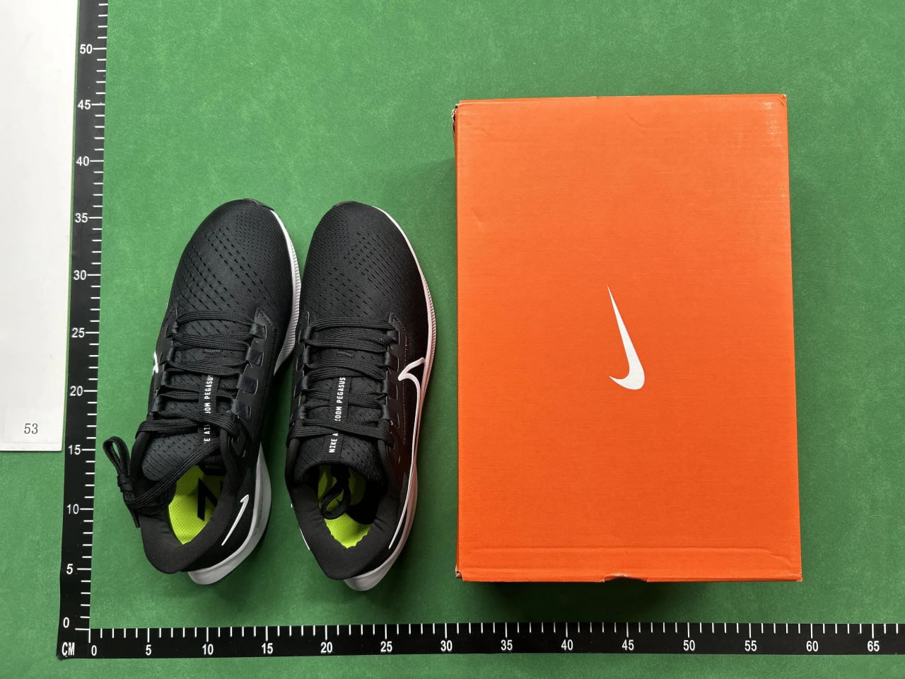 GOT-Pegasus 40 -2