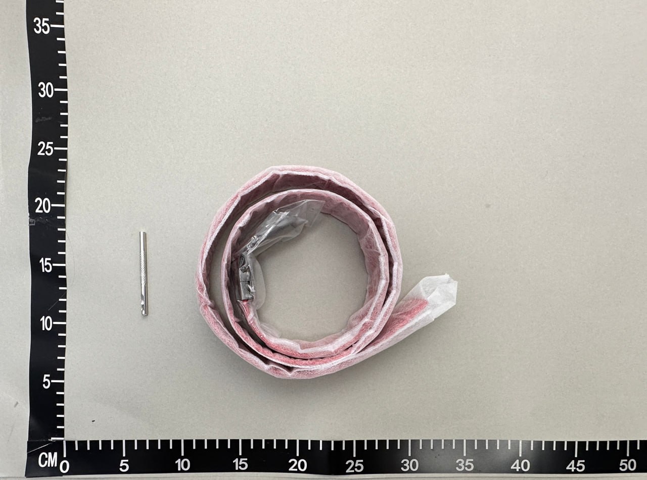  Gucci Belt -4
