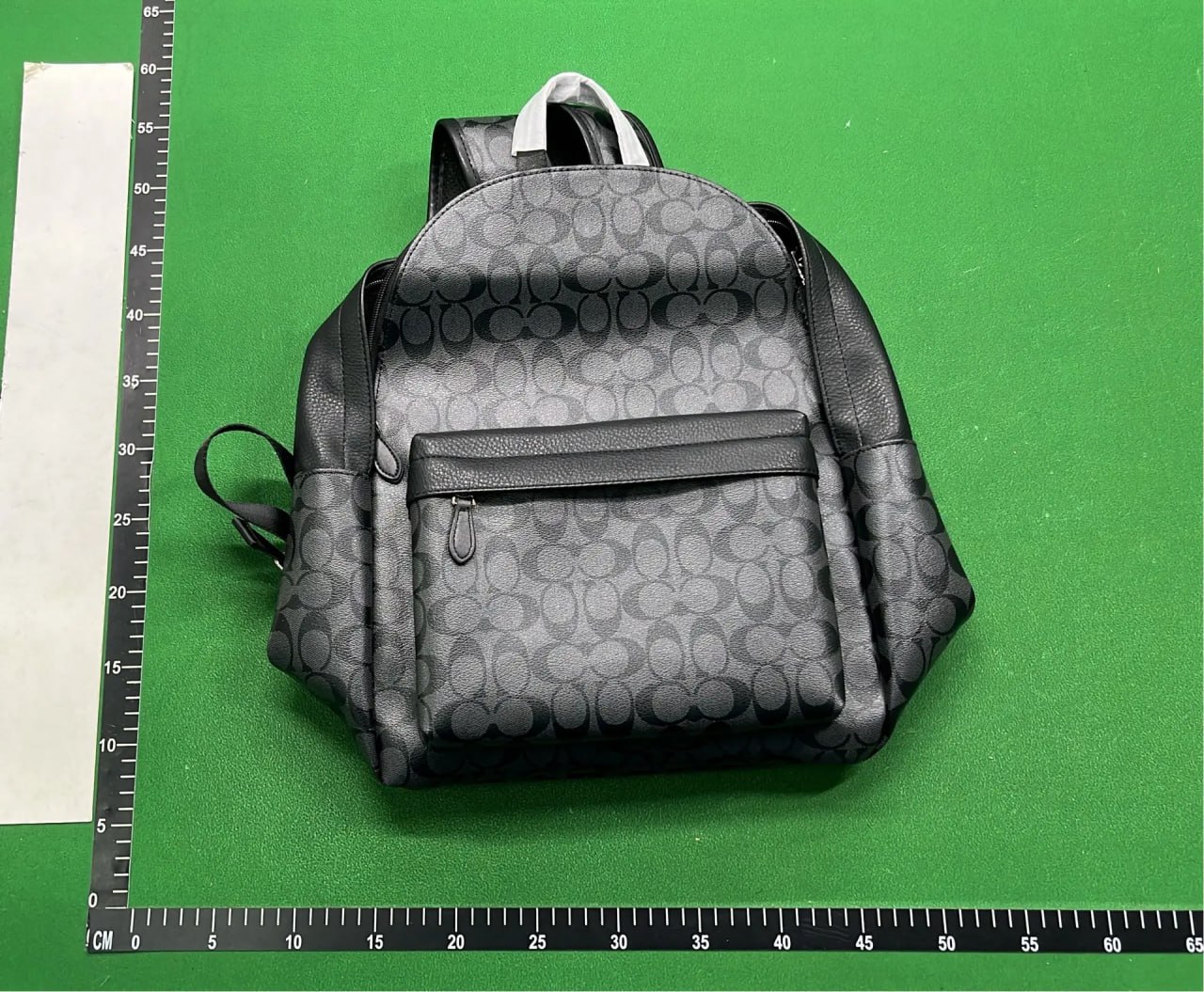 Coach Backpack -2