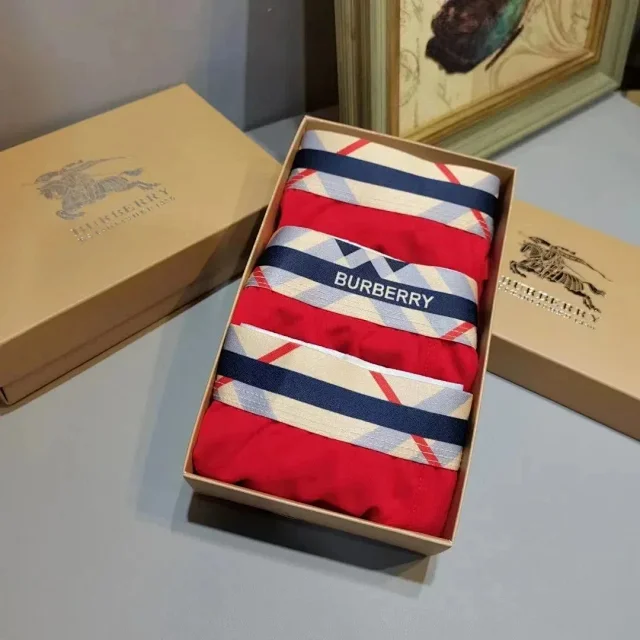  Burberry Warhorse Logo Boxer Briefs [3 styles] -2