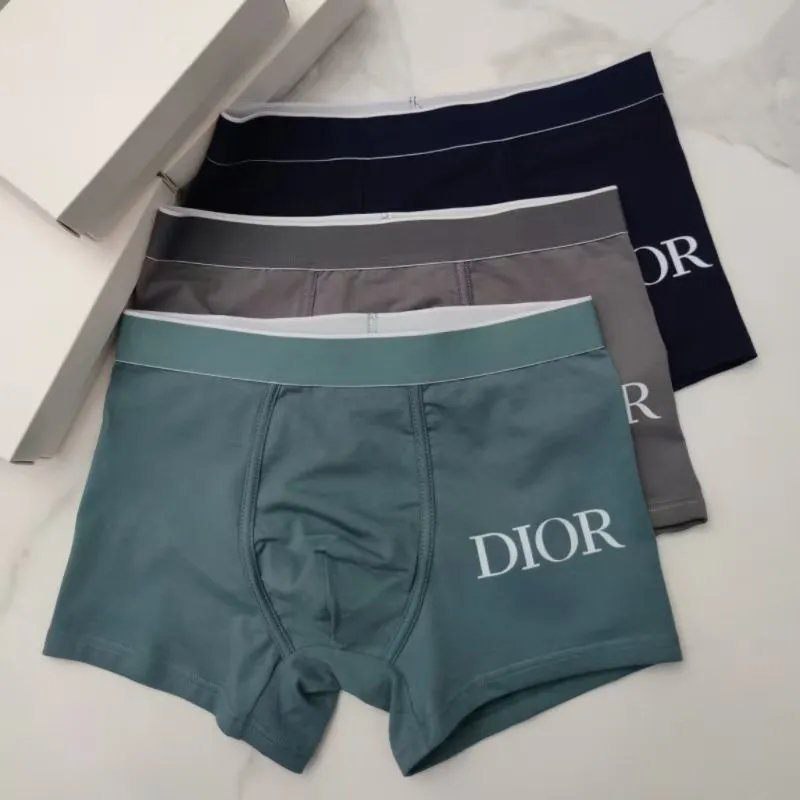 Dior Floral and Solid Underwear [29 styles] -4