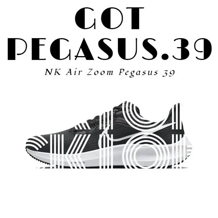  Nike Air Zoom Pegasus 39 Snea