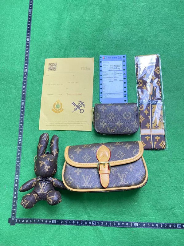   LV Dior bag -4