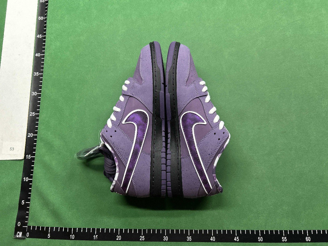 CONCEPTS x Nike Dunk -3