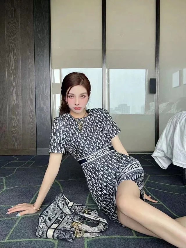  DIOR dress -3