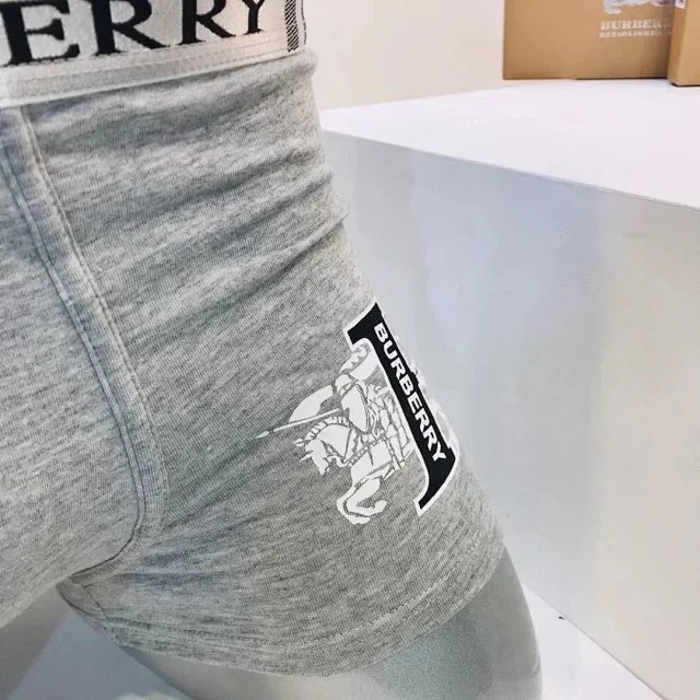 Burberry Check Logo Boxer Briefs [6 styles] -5