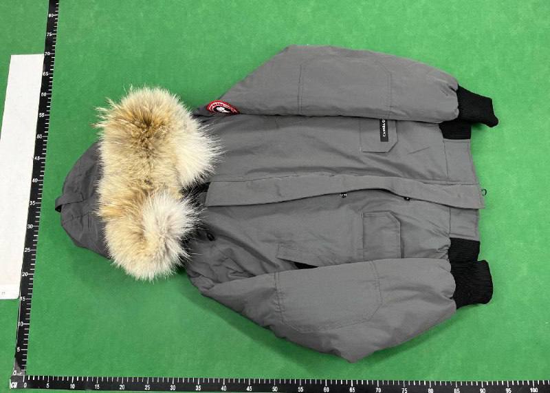  Canada Goose Down -3