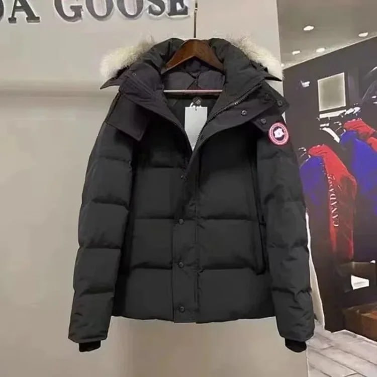 Canada goose Moncler Burberry down jacket