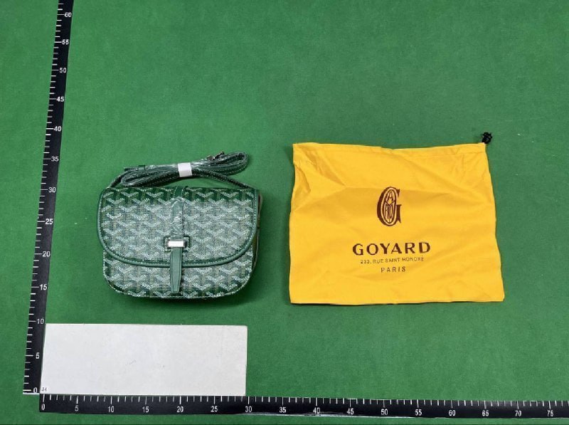   GOYARD Travel Bag/LV wallet -5