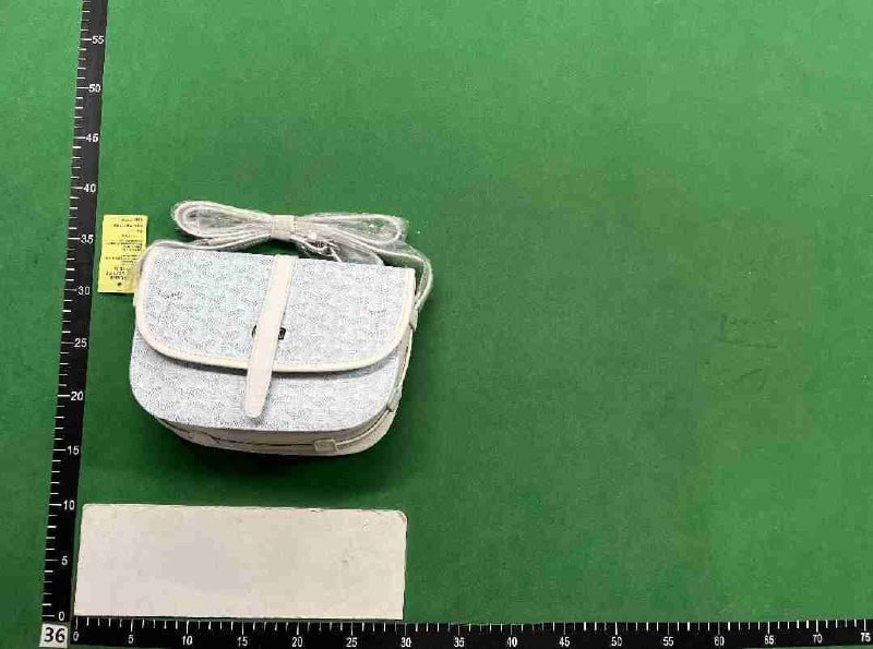   GOYARD Travel Bag/LV wallet -4
