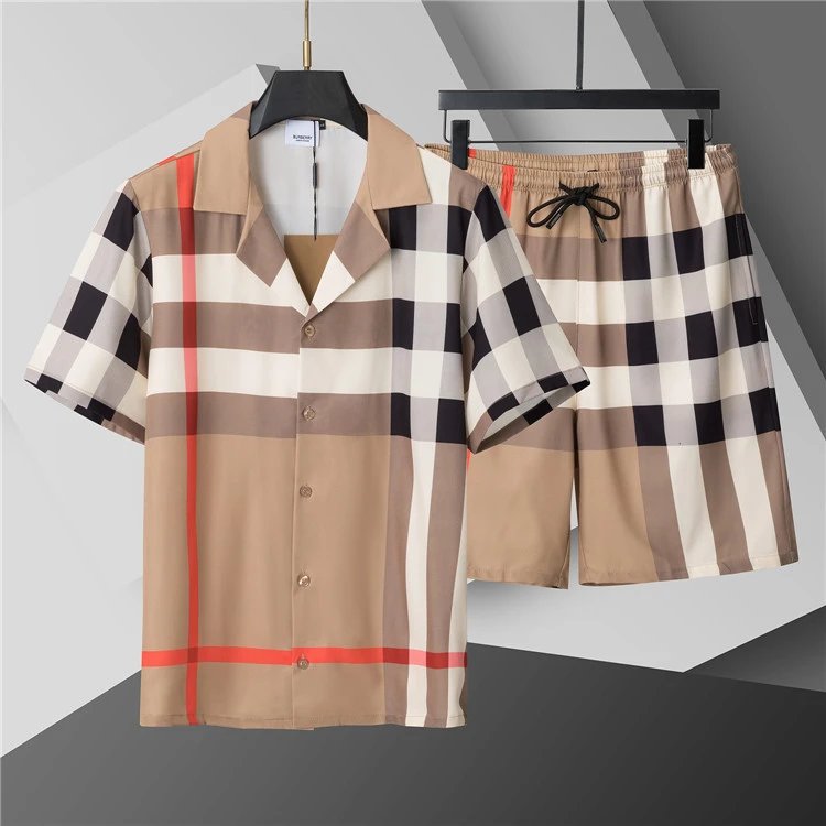 LV /Dior /Burberry Sets / T-shirt/shorts（40 styles） -5